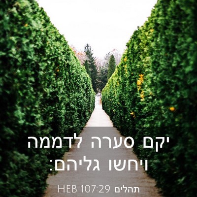 Picture 03 - תהלים 107:29 HEB - יקם סערה לדממה ויחשו - Bible Verse Picture