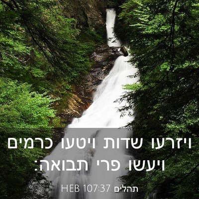 Picture 03 - תהלים 107:37 HEB - ויזרעו שדות ויטעו כרמים - Bible Verse Picture