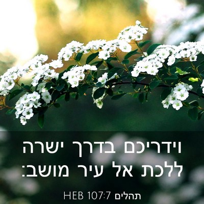 Picture 03 - תהלים 107:7 HEB - וידריכם בדרך ישרה ללכת אל - Bible Verse Picture