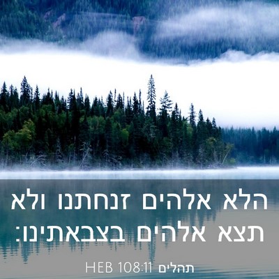 Picture 03 - תהלים 108:11 HEB - הלא אלהים זנחתנו ולא תצא - Bible Verse Picture