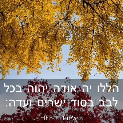 Picture 03 - תהלים 111:1 HEB - הללו יה אודה יהוה בכל לבב - Bible Verse Picture