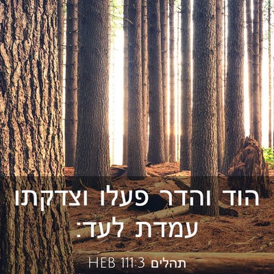 Picture 03 - תהלים 111:3 HEB - הוד והדר פעלו וצדקתו עמדת - Bible Verse Picture