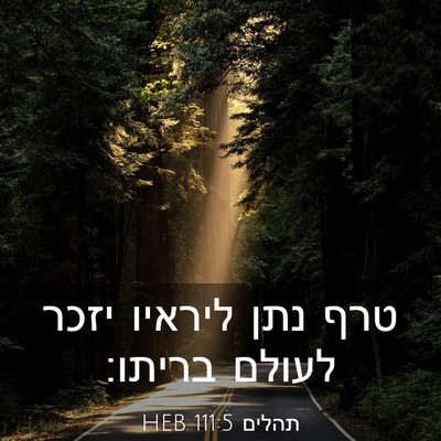 Picture 03 - תהלים 111:5 HEB - טרף נתן ליראיו יזכר לעולם - Bible Verse Picture