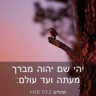 Picture 03 - תהלים 113:2 HEB - יהי שם יהוה מברך מעתה ועד - Bible Verse Picture