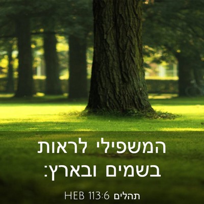 Picture 03 - תהלים 113:6 HEB - המשפילי לראות בשמים - Bible Verse Picture