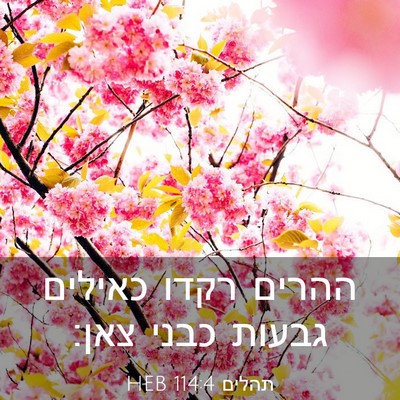 Picture 03 - תהלים 114:4 HEB - ההרים רקדו כאילים גבעות - Bible Verse Picture