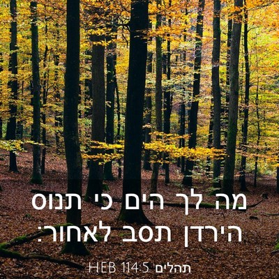Picture 03 - תהלים 114:5 HEB - מה לך הים כי תנוס הירדן תסב - Bible Verse Picture