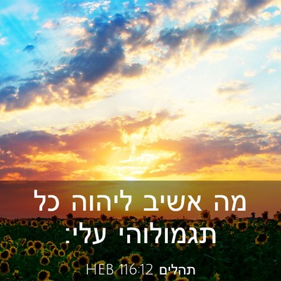 Picture 03 - תהלים 116:12 HEB - מה אשיב ליהוה כל תגמולוהי - Bible Verse Picture