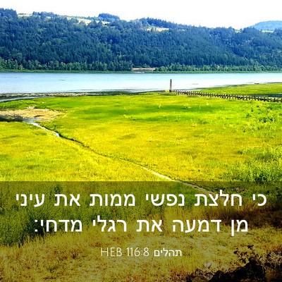 Picture 03 - תהלים 116:8 HEB - כי חלצת נפשי ממות את עיני - Bible Verse Picture