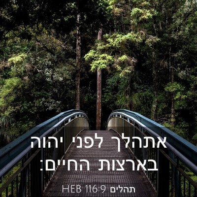 Picture 03 - תהלים 116:9 HEB - אתהלך לפני יהוה בארצות - Bible Verse Picture