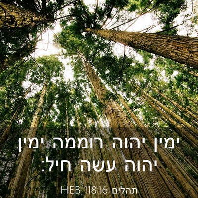 Picture 03 - תהלים 118:16 HEB - ימין יהוה רוממה ימין יהוה - Bible Verse Picture