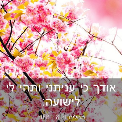 Picture 03 - תהלים 118:21 HEB - אודך כי עניתני ותהי לי - Bible Verse Picture