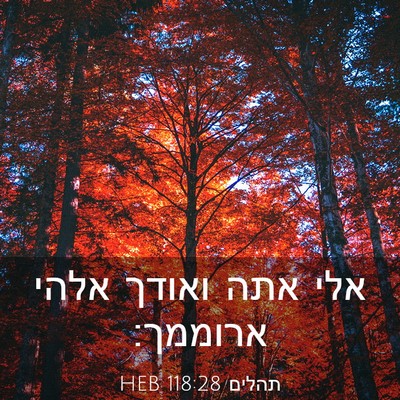 Picture 03 - תהלים 118:28 HEB - אלי אתה ואודך אלהי - Bible Verse Picture