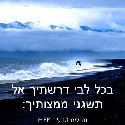 Picture 03 - תהלים 119:10 HEB - בכל לבי דרשתיך אל תשגני - Bible Verse Picture