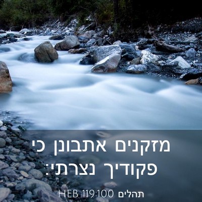 Picture 03 - תהלים 119:100 HEB - מזקנים אתבונן כי פקודיך - Bible Verse Picture