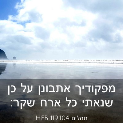 Picture 03 - תהלים 119:104 HEB - מפקודיך אתבונן על כן שנאתי - Bible Verse Picture