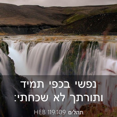 Picture 03 - תהלים 119:109 HEB - נפשי בכפי תמיד ותורתך לא - Bible Verse Picture