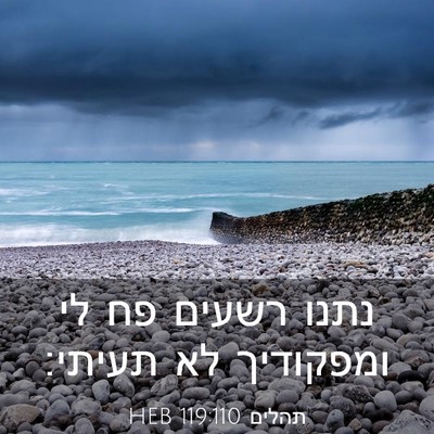 Picture 03 - תהלים 119:110 HEB - נתנו רשעים פח לי ומפקודיך - Bible Verse Picture