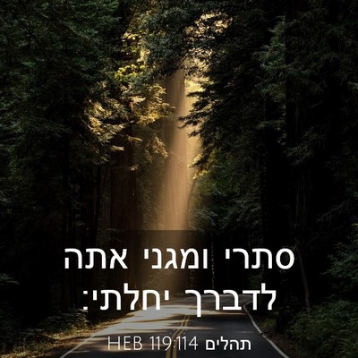Picture 03 - תהלים 119:114 HEB - סתרי ומגני אתה לדברך - Bible Verse Picture