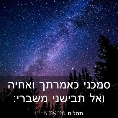 Picture 03 - תהלים 119:116 HEB - סמכני כאמרתך ואחיה ואל - Bible Verse Picture