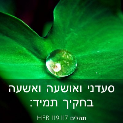 Picture 03 - תהלים 119:117 HEB - סעדני ואושעה ואשעה בחקיך - Bible Verse Picture