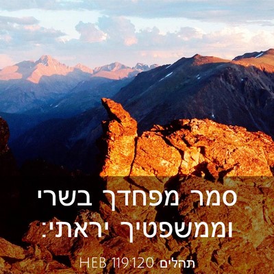 Picture 03 - תהלים 119:120 HEB - סמר מפחדך בשרי וממשפטיך - Bible Verse Picture