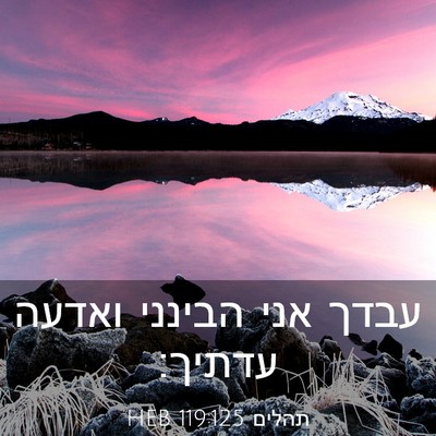 Picture 03 - תהלים 119:125 HEB - עבדך אני הבינני ואדעה - Bible Verse Picture