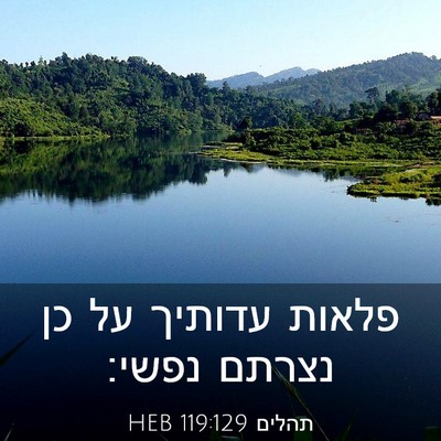 Picture 03 - תהלים 119:129 HEB - פלאות עדותיך על כן נצרתם - Bible Verse Picture