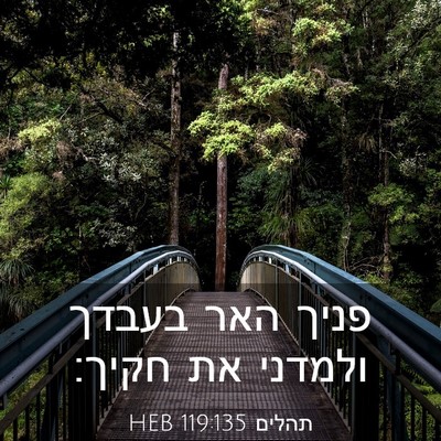 Picture 03 - תהלים 119:135 HEB - פניך האר בעבדך ולמדני את - Bible Verse Picture