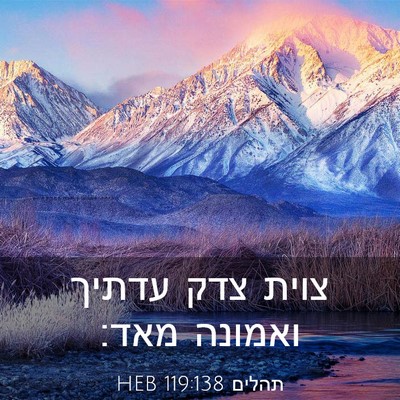 Picture 03 - תהלים 119:138 HEB - צוית צדק עדתיך ואמונה - Bible Verse Picture