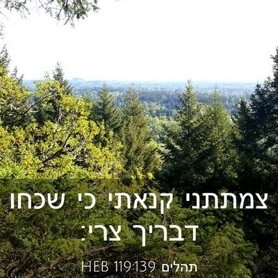 Picture 03 - תהלים 119:139 HEB - צמתתני קנאתי כי שכחו דבריך - Bible Verse Picture