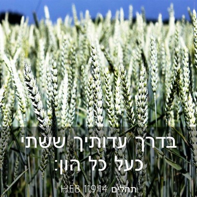 Picture 03 - תהלים 119:14 HEB - בדרך עדותיך ששתי כעל כל - Bible Verse Picture