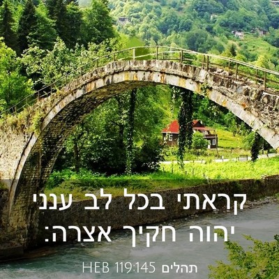 Picture 03 - תהלים 119:145 HEB - קראתי בכל לב ענני יהוה חקיך - Bible Verse Picture