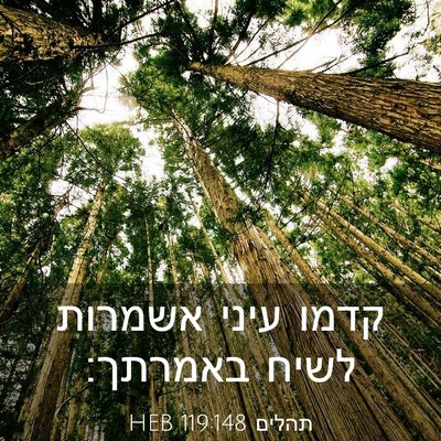 Picture 03 - תהלים 119:148 HEB - קדמו עיני אשמרות לשיח - Bible Verse Picture