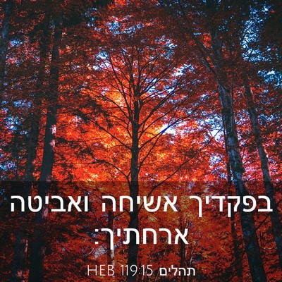 Picture 03 - תהלים 119:15 HEB - בפקדיך אשיחה ואביטה - Bible Verse Picture