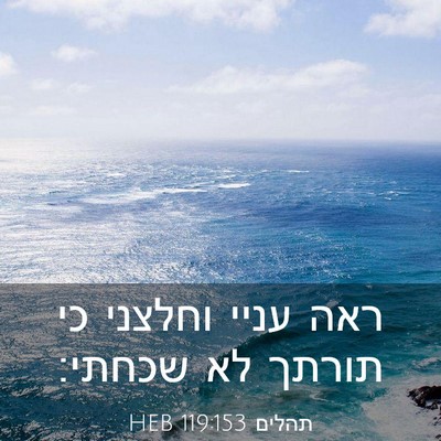 Picture 03 - תהלים 119:153 HEB - ראה עניי וחלצני כי תורתך לא - Bible Verse Picture