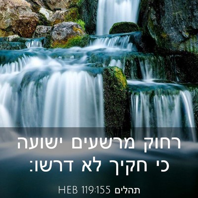 Picture 03 - תהלים 119:155 HEB - רחוק מרשעים ישועה כי חקיך - Bible Verse Picture