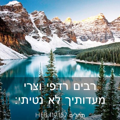 Picture 03 - תהלים 119:157 HEB - רבים רדפי וצרי מעדותיך לא - Bible Verse Picture