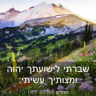 Picture 03 - תהלים 119:166 HEB - שברתי לישועתך יהוה ומצותיך - Bible Verse Picture