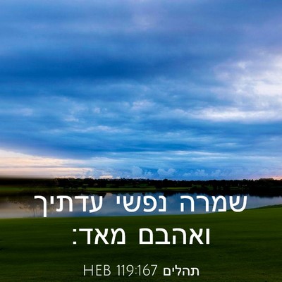 Picture 03 - תהלים 119:167 HEB - שמרה נפשי עדתיך ואהבם - Bible Verse Picture