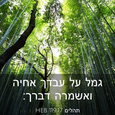 Picture 03 - תהלים 119:17 HEB - גמל על עבדך אחיה ואשמרה - Bible Verse Picture