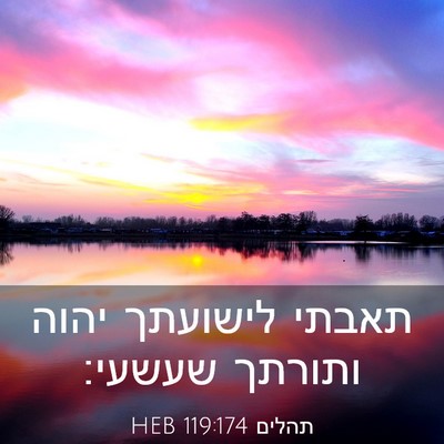 Picture 03 - תהלים 119:174 HEB - תאבתי לישועתך יהוה ותורתך - Bible Verse Picture