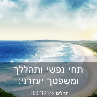 Picture 03 - תהלים 119:175 HEB - תחי נפשי ותהללך ומשפטך - Bible Verse Picture