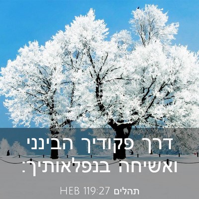 Picture 03 - תהלים 119:27 HEB - דרך פקודיך הבינני ואשיחה - Bible Verse Picture