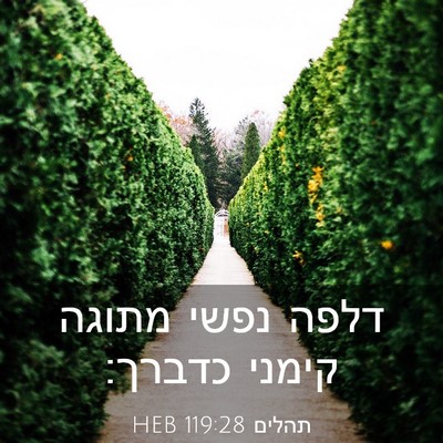Picture 03 - תהלים 119:28 HEB - דלפה נפשי מתוגה קימני - Bible Verse Picture