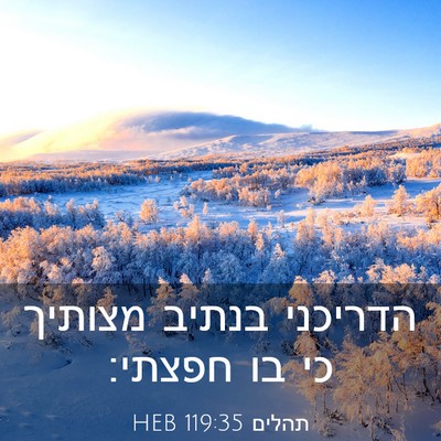 Picture 03 - תהלים 119:35 HEB - הדריכני בנתיב מצותיך כי בו - Bible Verse Picture