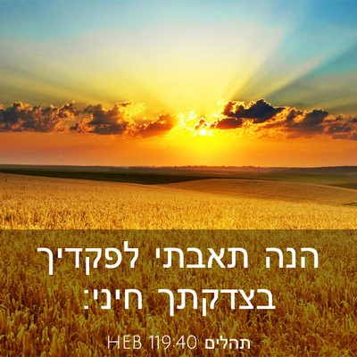 Picture 03 - תהלים 119:40 HEB - הנה תאבתי לפקדיך בצדקתך - Bible Verse Picture