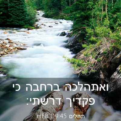 Picture 03 - תהלים 119:45 HEB - ואתהלכה ברחבה כי פקדיך - Bible Verse Picture