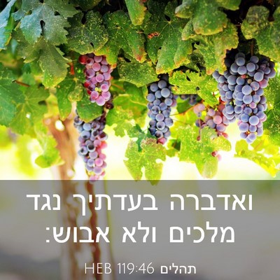 Picture 03 - תהלים 119:46 HEB - ואדברה בעדתיך נגד מלכים - Bible Verse Picture