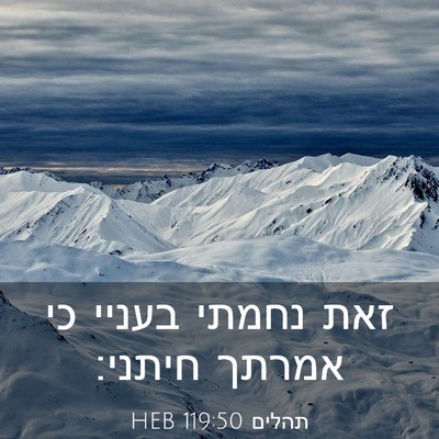 Picture 03 - תהלים 119:50 HEB - זאת נחמתי בעניי כי אמרתך - Bible Verse Picture